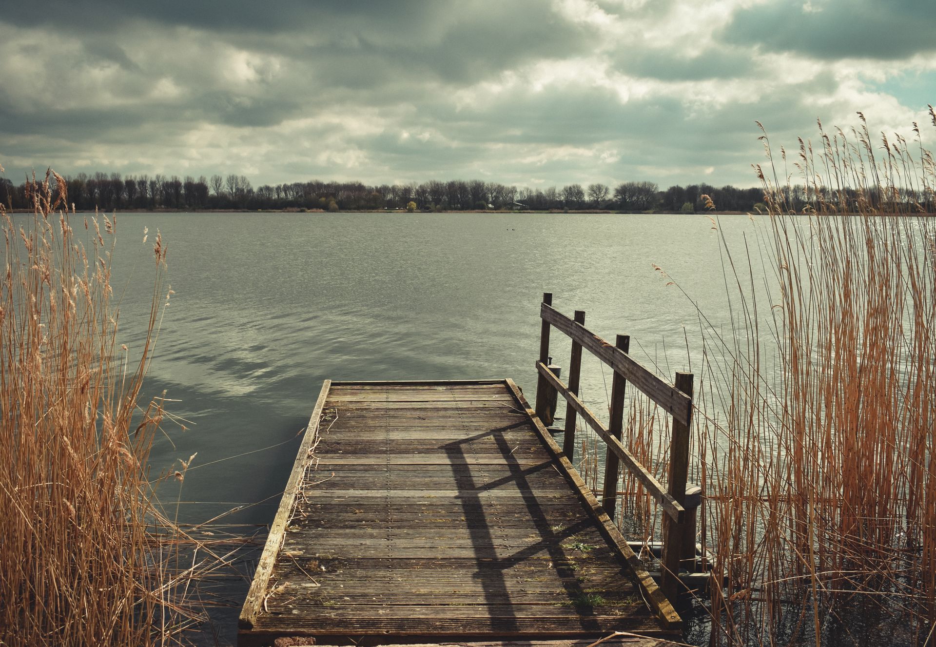 Wooden dock extending into a calm lake, framed by reeds under an overcast sky