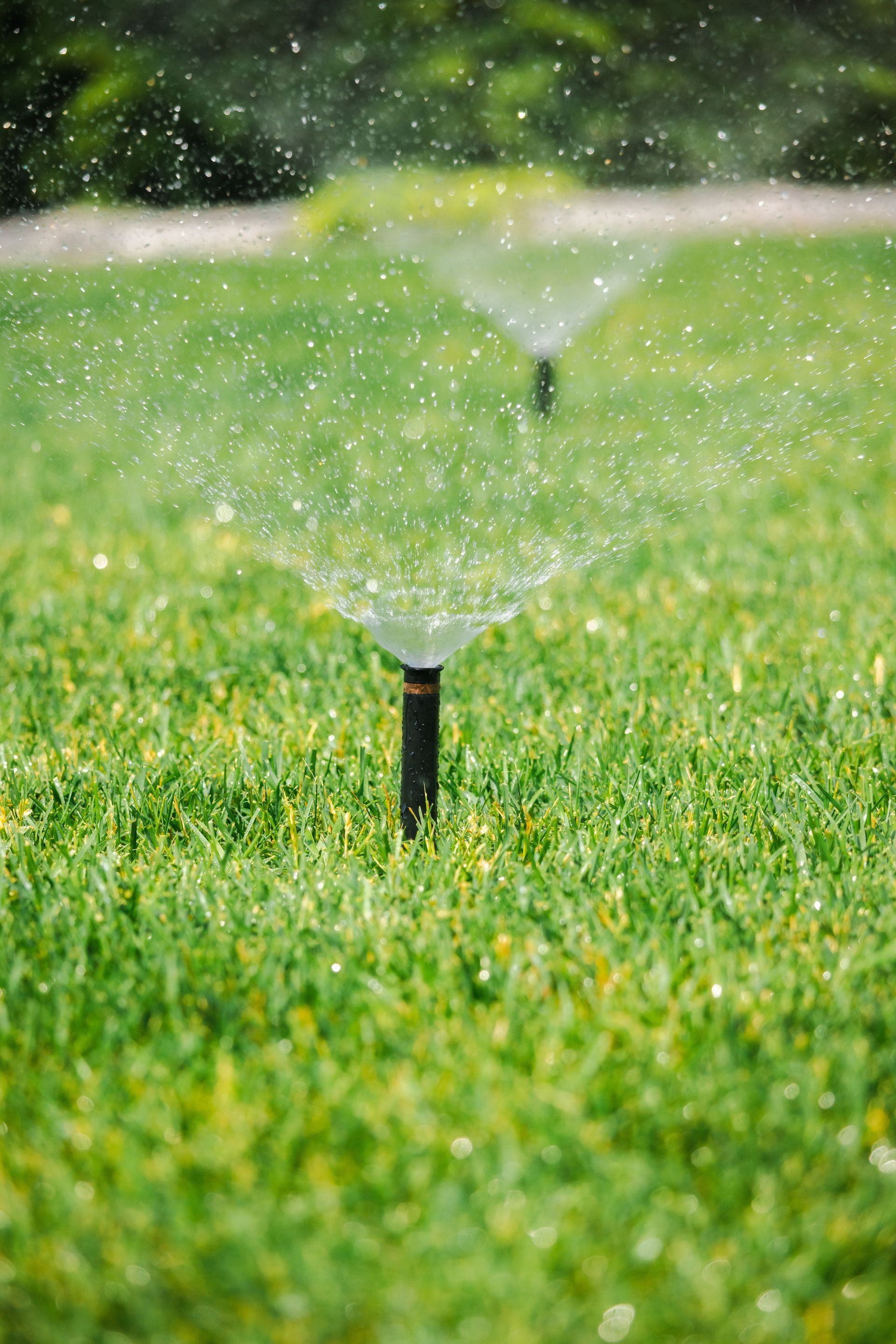 Sprinklers watering a green lawn with water spraying in the foreground and background