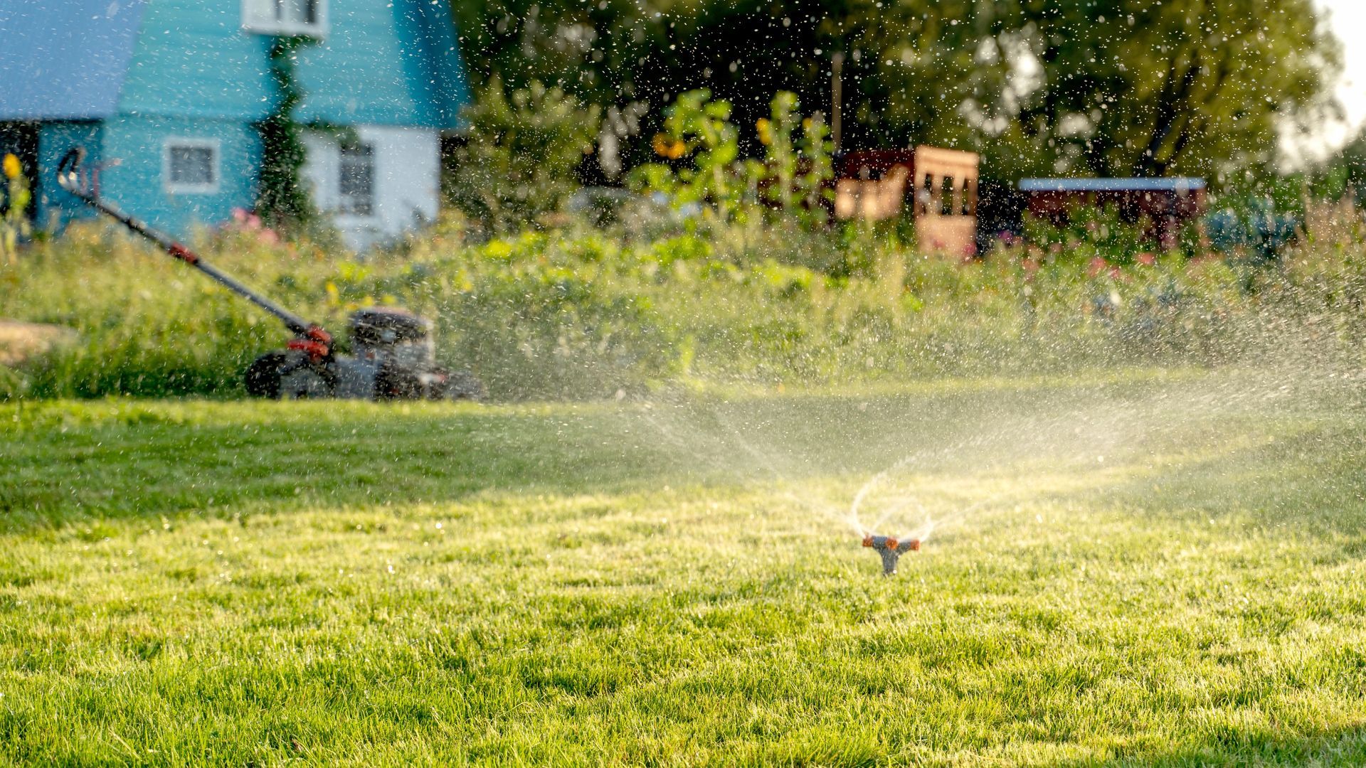 Sprinkler watering a sunny lawn, with a blue house in the background