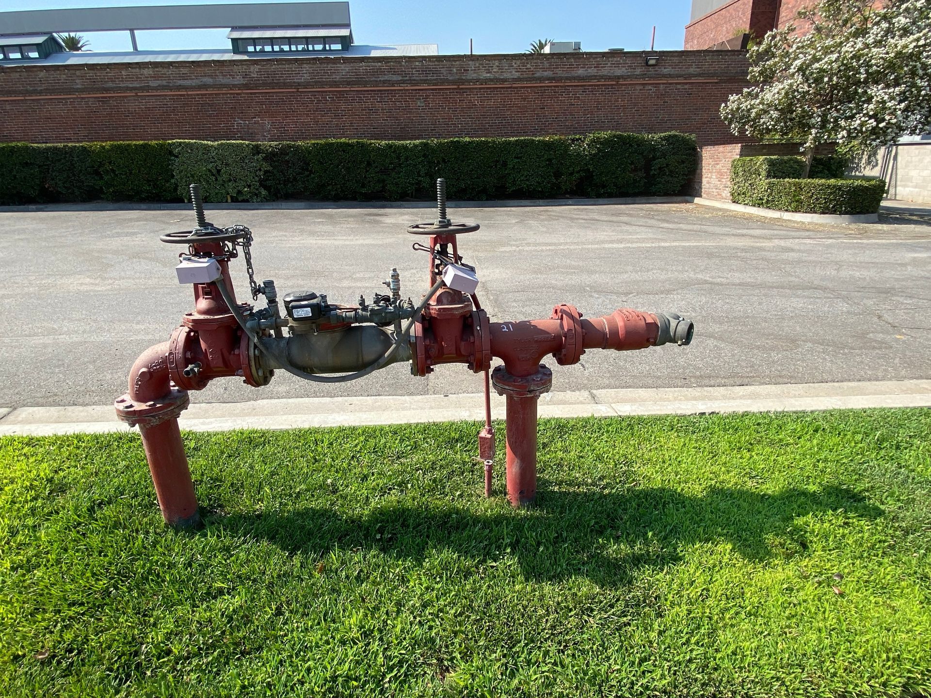 Two red fire hydrants with valves and pipes on a grassy strip beside a paved road and brick wall