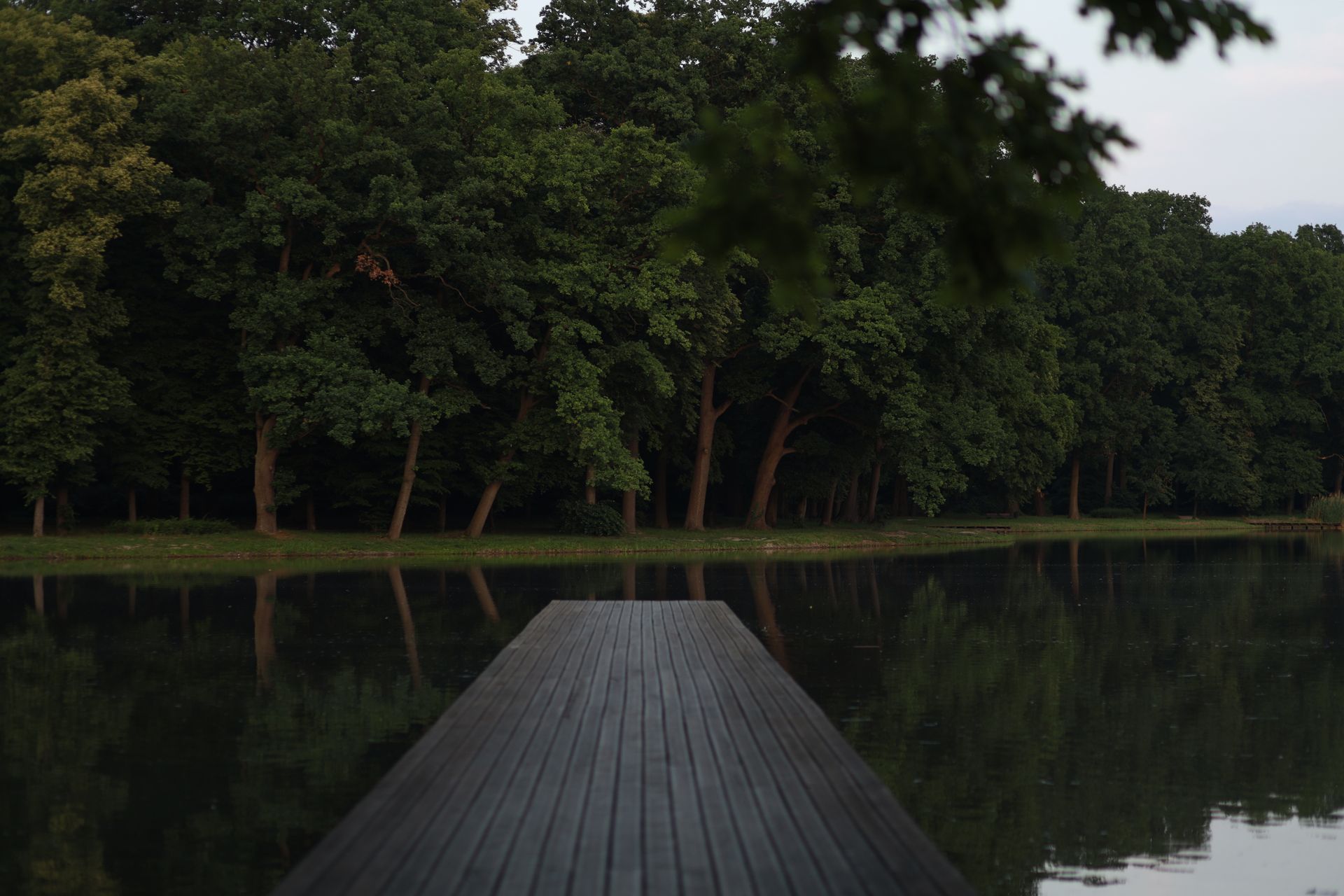 Wooden dock extending into a calm lake, bordered by dense green trees at dusk.