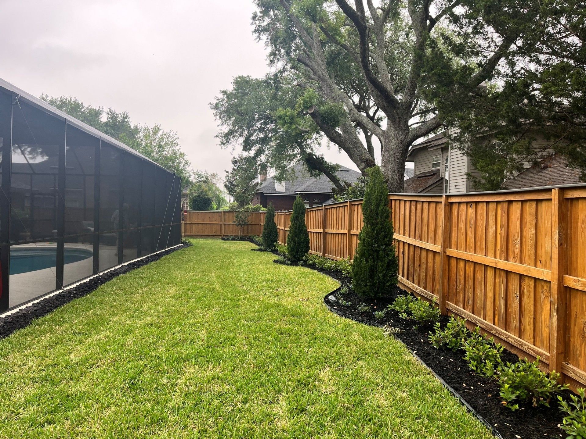 Green lawn, wooden fence, small trees, and a screened pool area in a backyard.