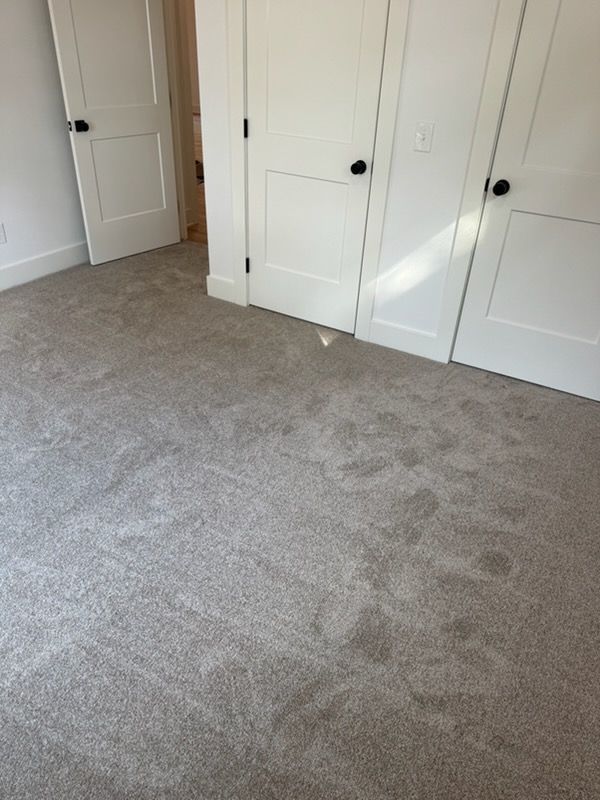 Empty beige-carpeted bedroom with white doors and sunlight on the floor