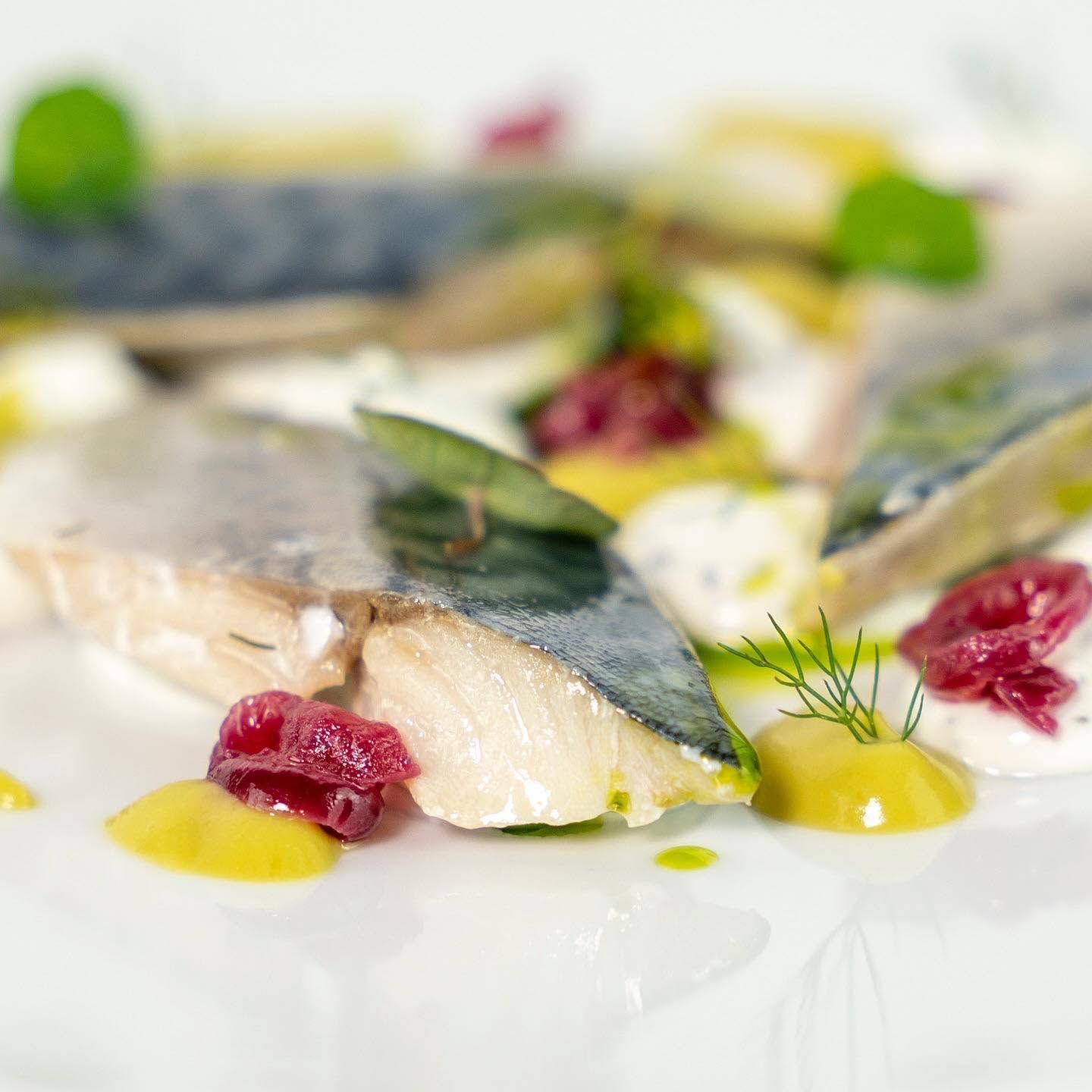 Primo piano di pesce scottato con guarnizione di erbe aromatiche, salsa gialla e pezzi di barbabietola rossa su un piatto bianco