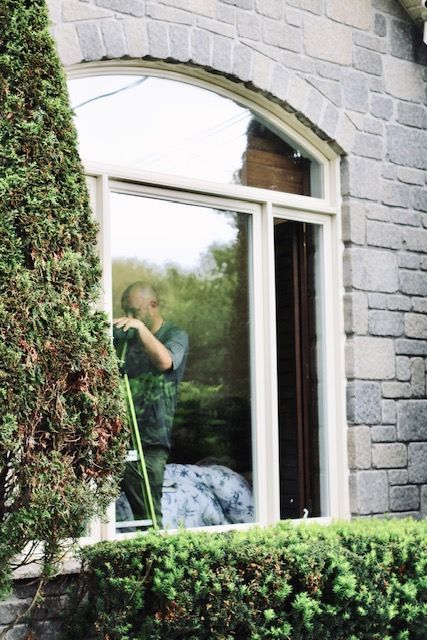 Person reflected in a window of a stone building, partially obscured by hedges