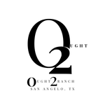 heaader/ footer