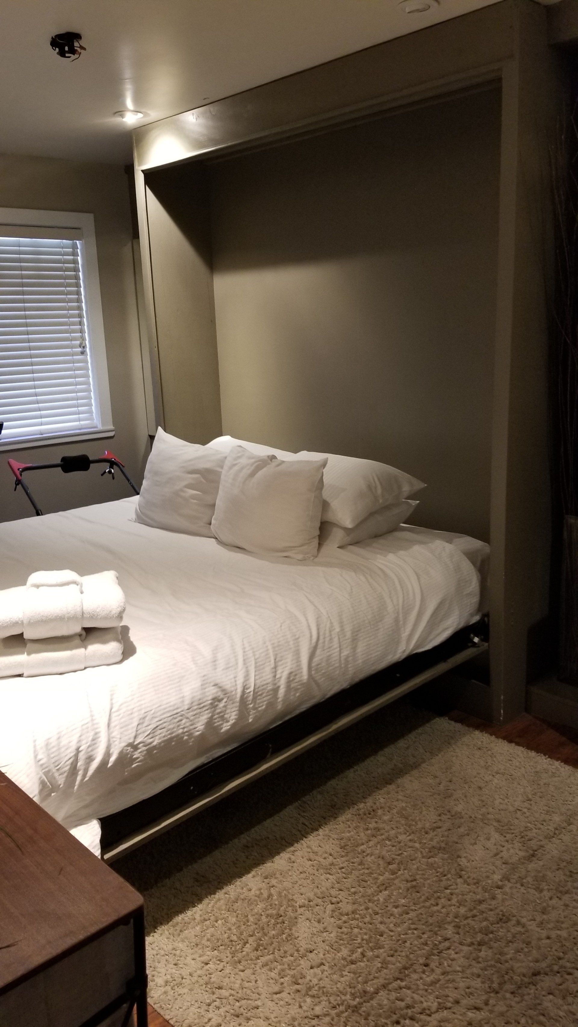 A bedroom with a bed that is pulled out of the wall.