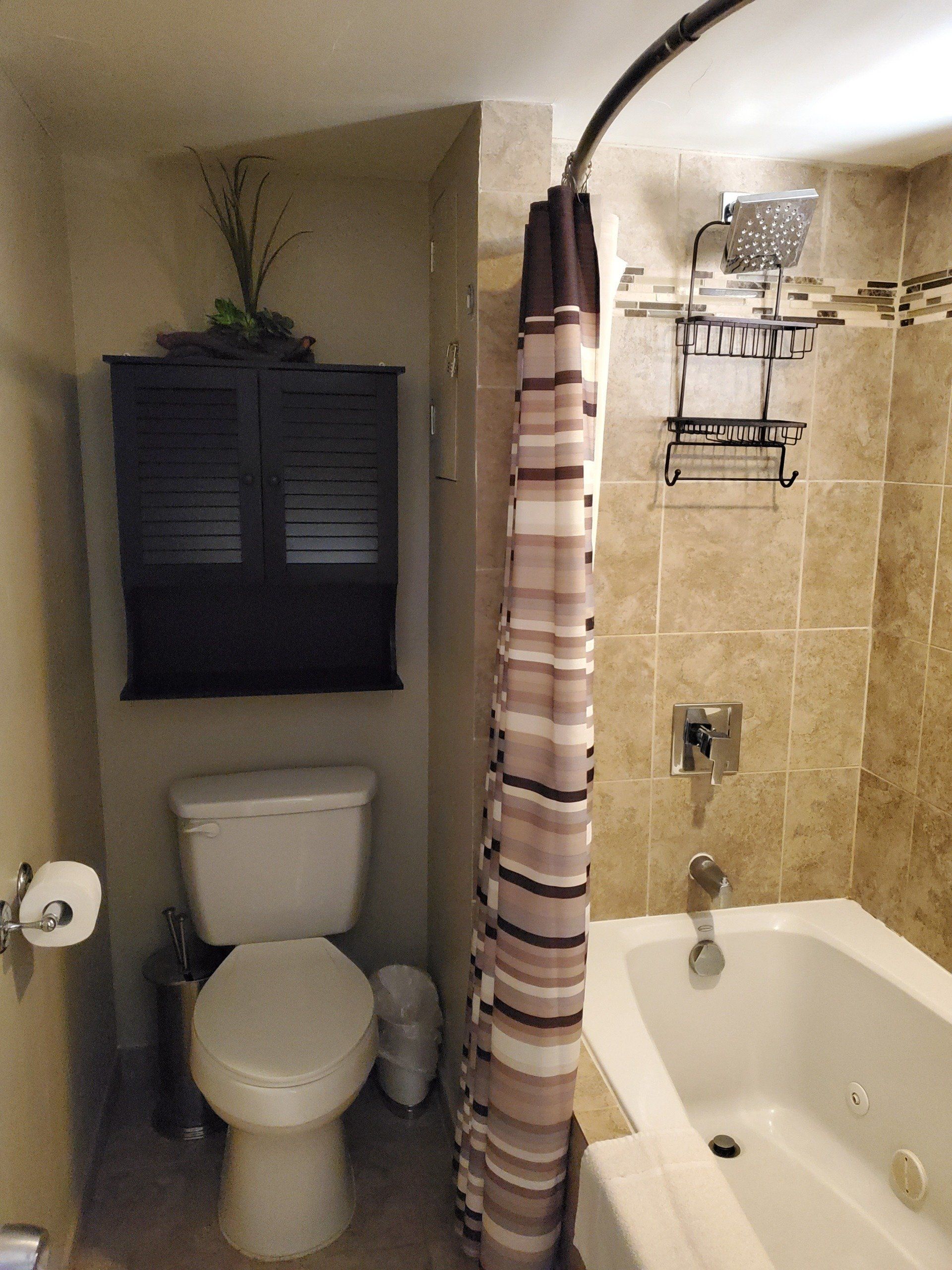 A bathroom with a toilet , tub and shower curtain