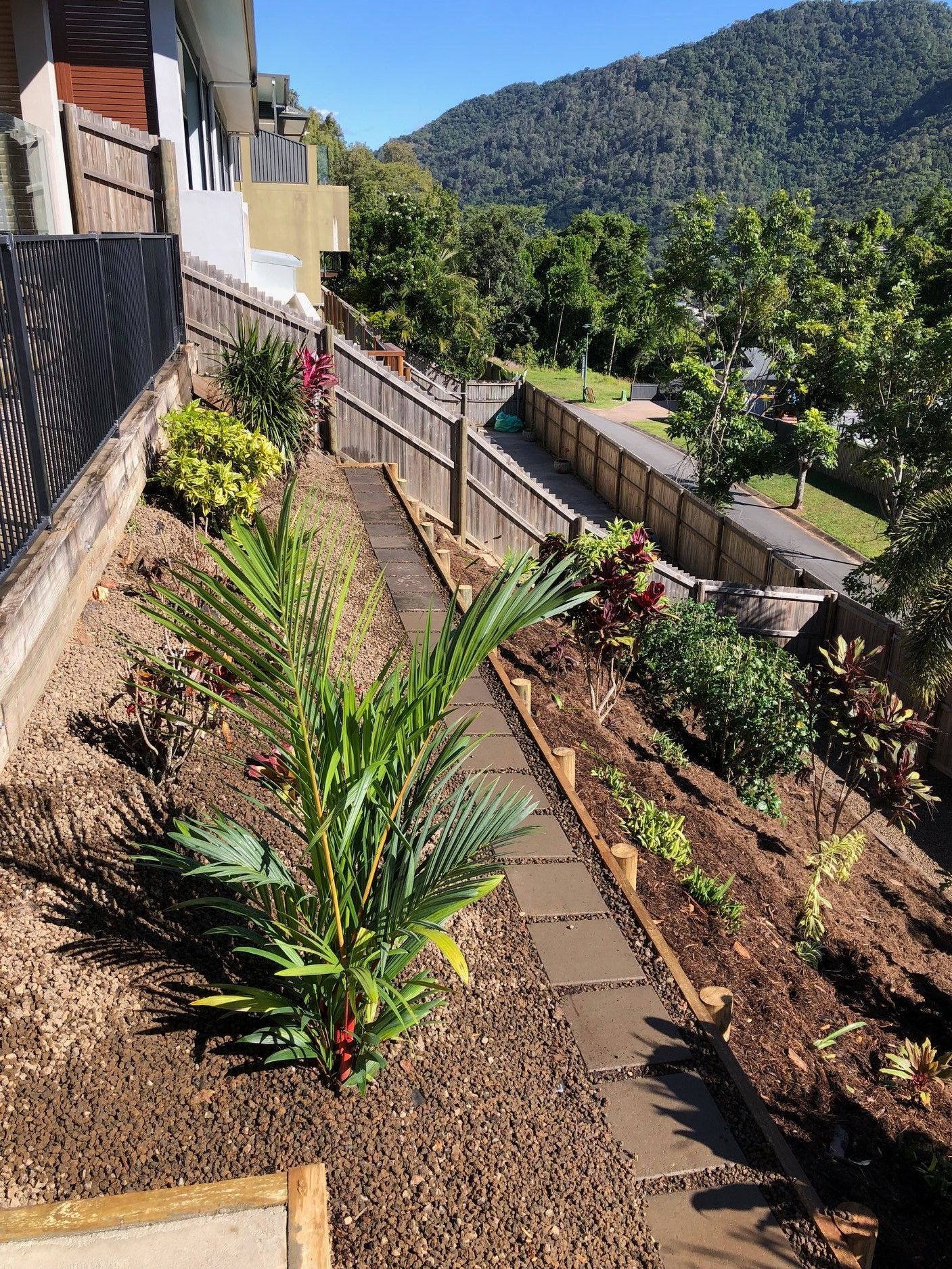 Plant With New Soil — NQ Parks and Gardens in Cairns, QLD