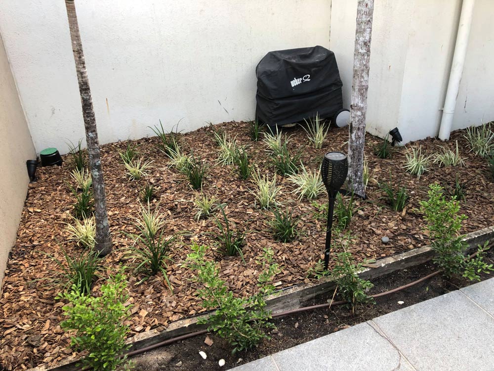 A Bag Is Sitting in The Middle of A Garden Next to A Tree — NQ Parks and Gardens in Port Douglas, QLD