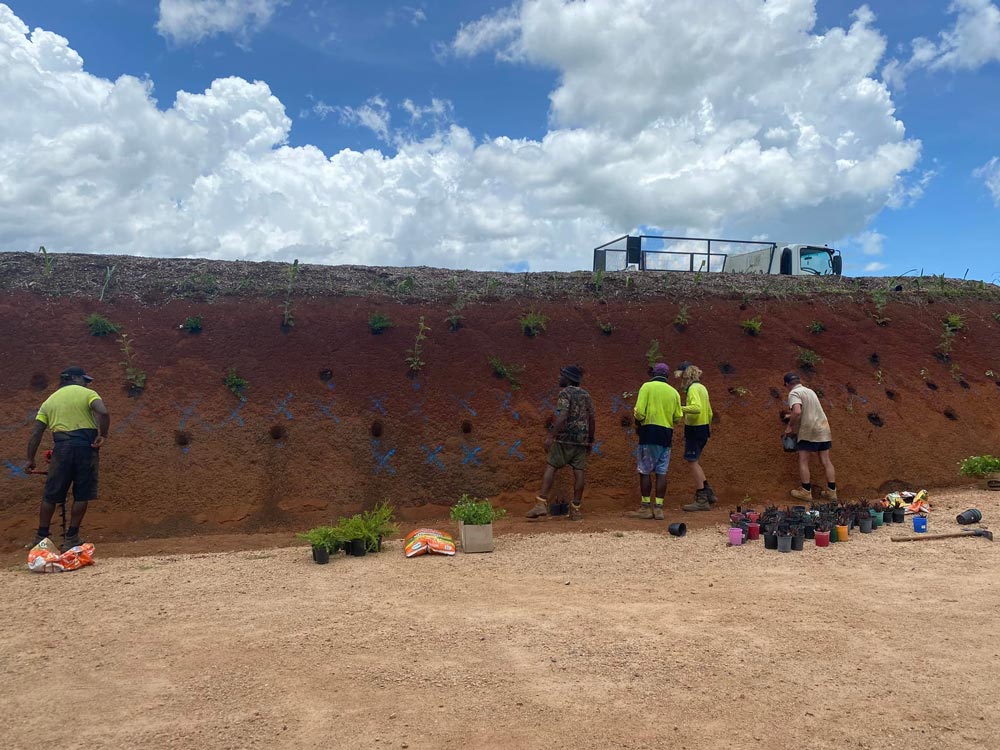 Five Male Workers Planting a Plants — NQ Parks and Gardens in Innisfail, QLD