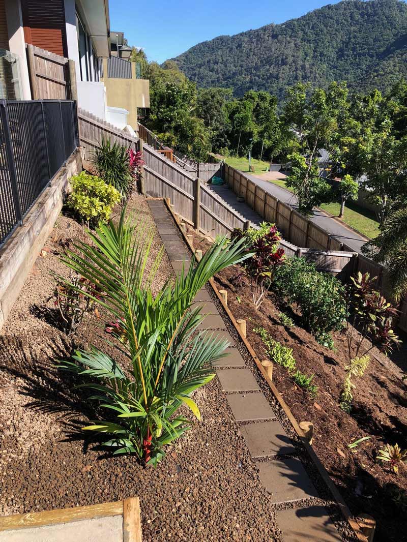 Landscaping Garden With A Lot Of Plants And Trees — NQ Parks and Gardens in Cairns, QLD