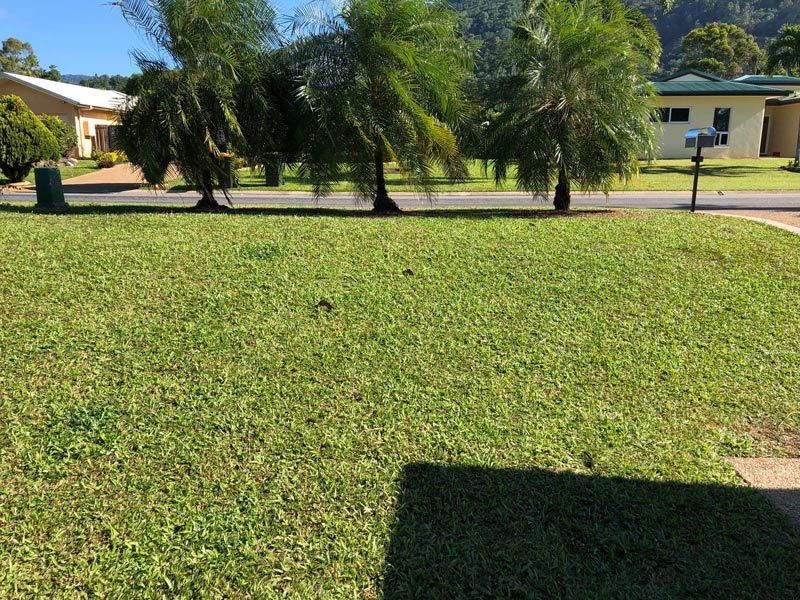 A Row of Potted Plants Sitting on Top of A Lush Green Lawn Next to A Wooden Fence — NQ Parks and Gardens in Cairns, QLD