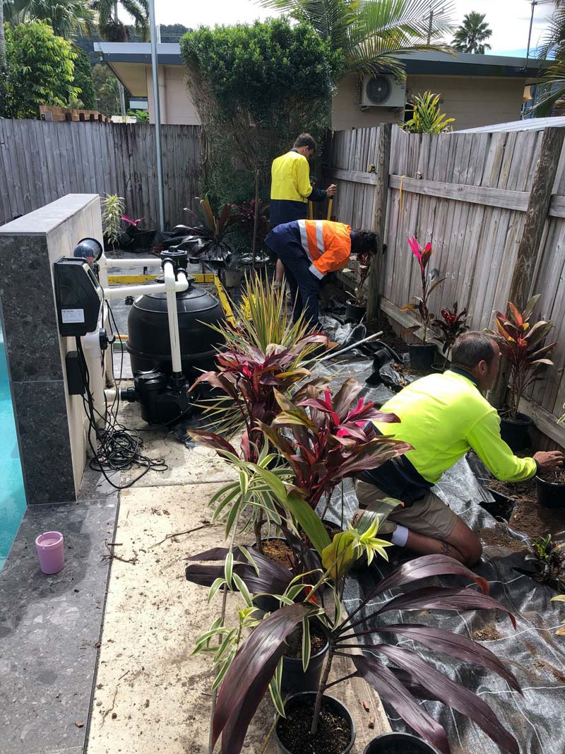 Three Professional Worker Giving The Garden Makeovers — NQ Parks and Gardens in Cairns, QLD