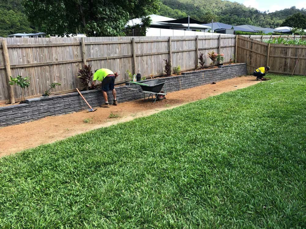 Two Professional Male Workers Giving Service For Garden Maintenance — NQ Parks and Gardens in Innisfail, QLD
