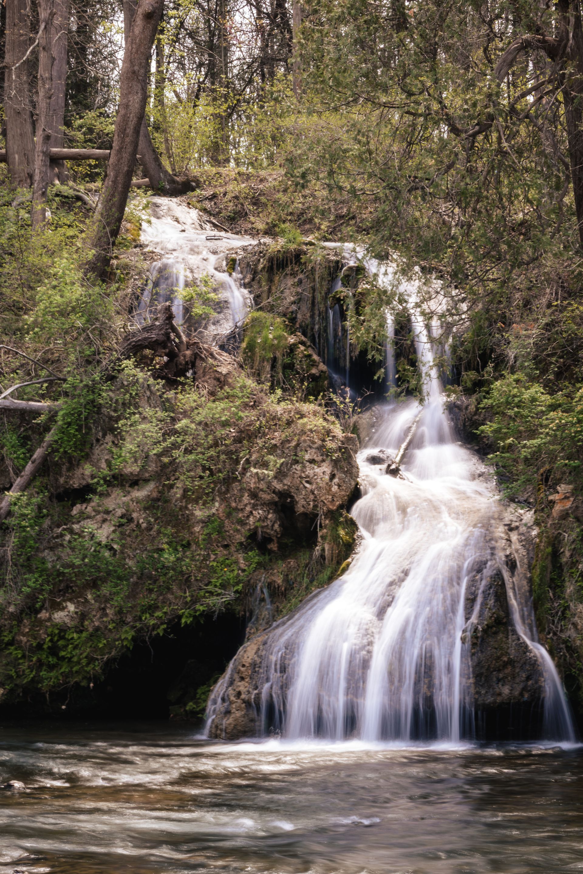 A waterfall is surrounded by trees and rocks in the middle of a forest.