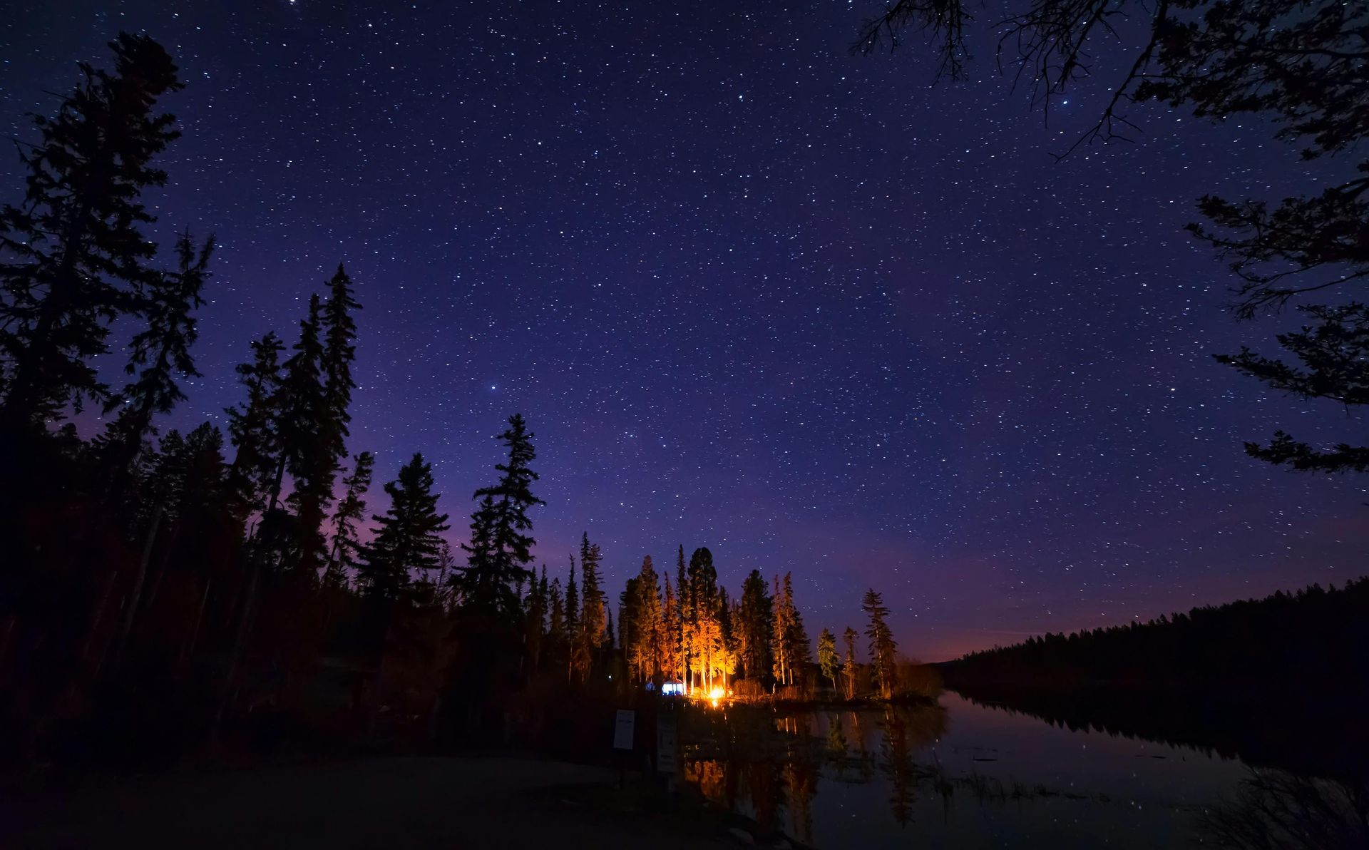 A glowing campfire illuminates trees along a lake shore under a vast, dark blue night sky filled with many stars.