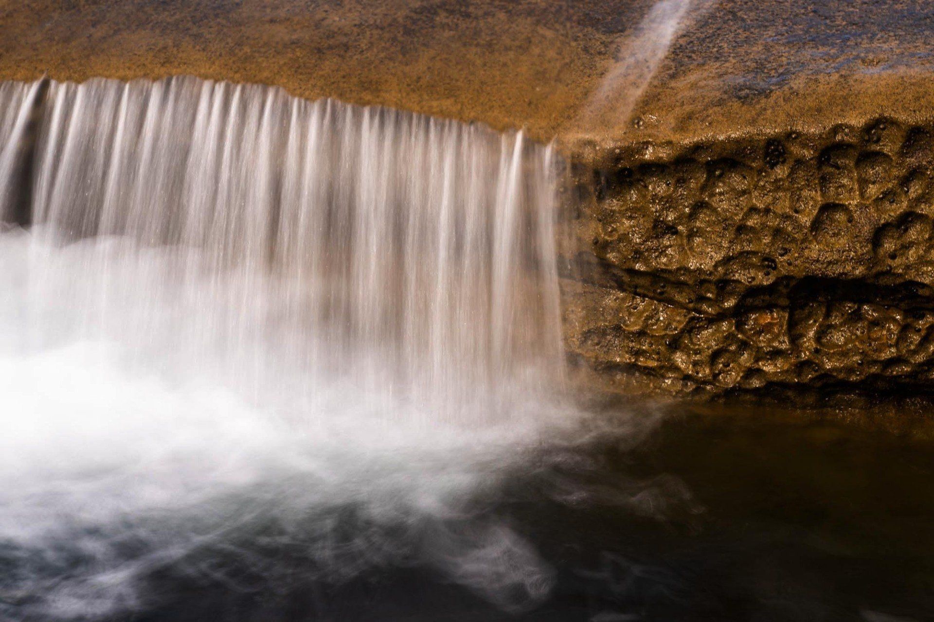 Tidal Pool detail photograph