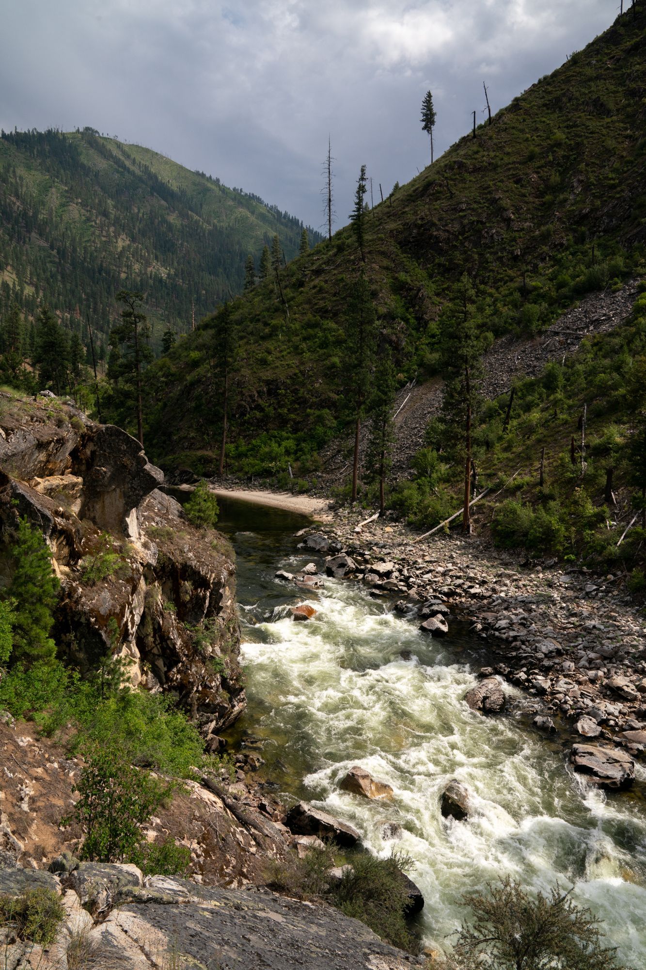 landscape photo of the south fork of the salmon river