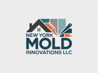 Logo for New York Mold Innovations LLC: a house silhouette with a paintbrush and scraper, in blue and orange hues.