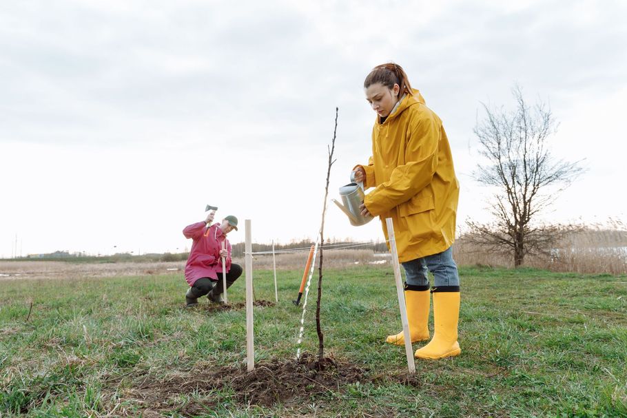 Two people planting a young tree in a grassy field, one holding a watering can, both in bright outdoor gear