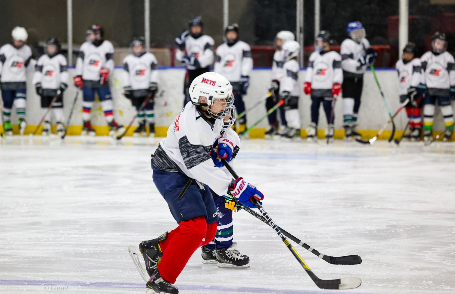 Youth hockey player in white and red skates with puck on an indoor rink, teammates lined up behind.