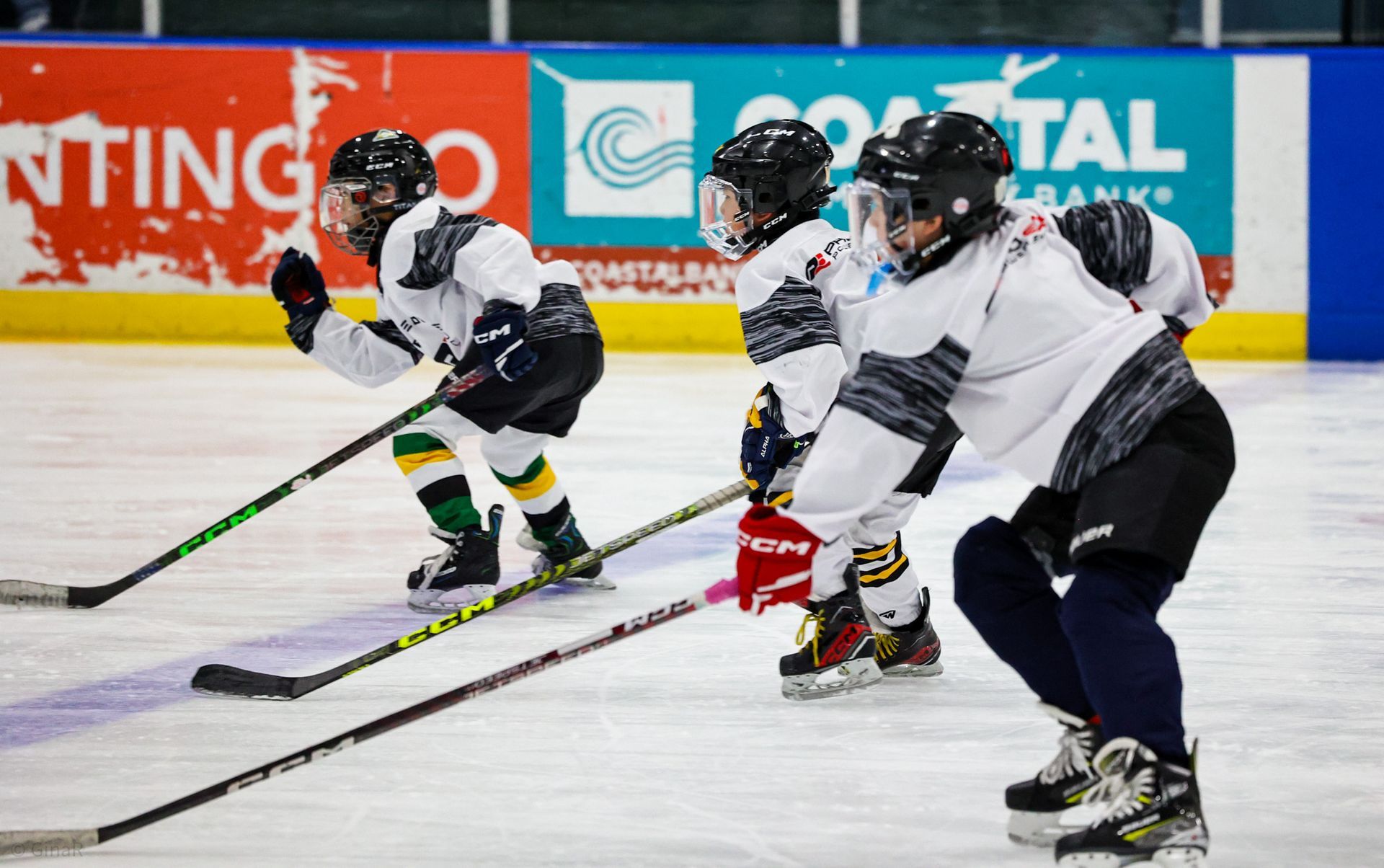 Youth hockey players in white jerseys skating on ice, chasing a puck near the boards.