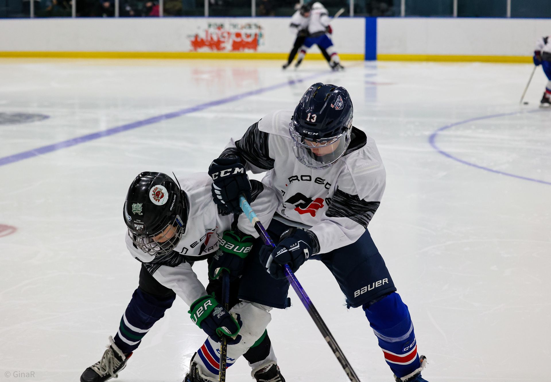 Two youth hockey players battle for the puck on an ice rink during a game