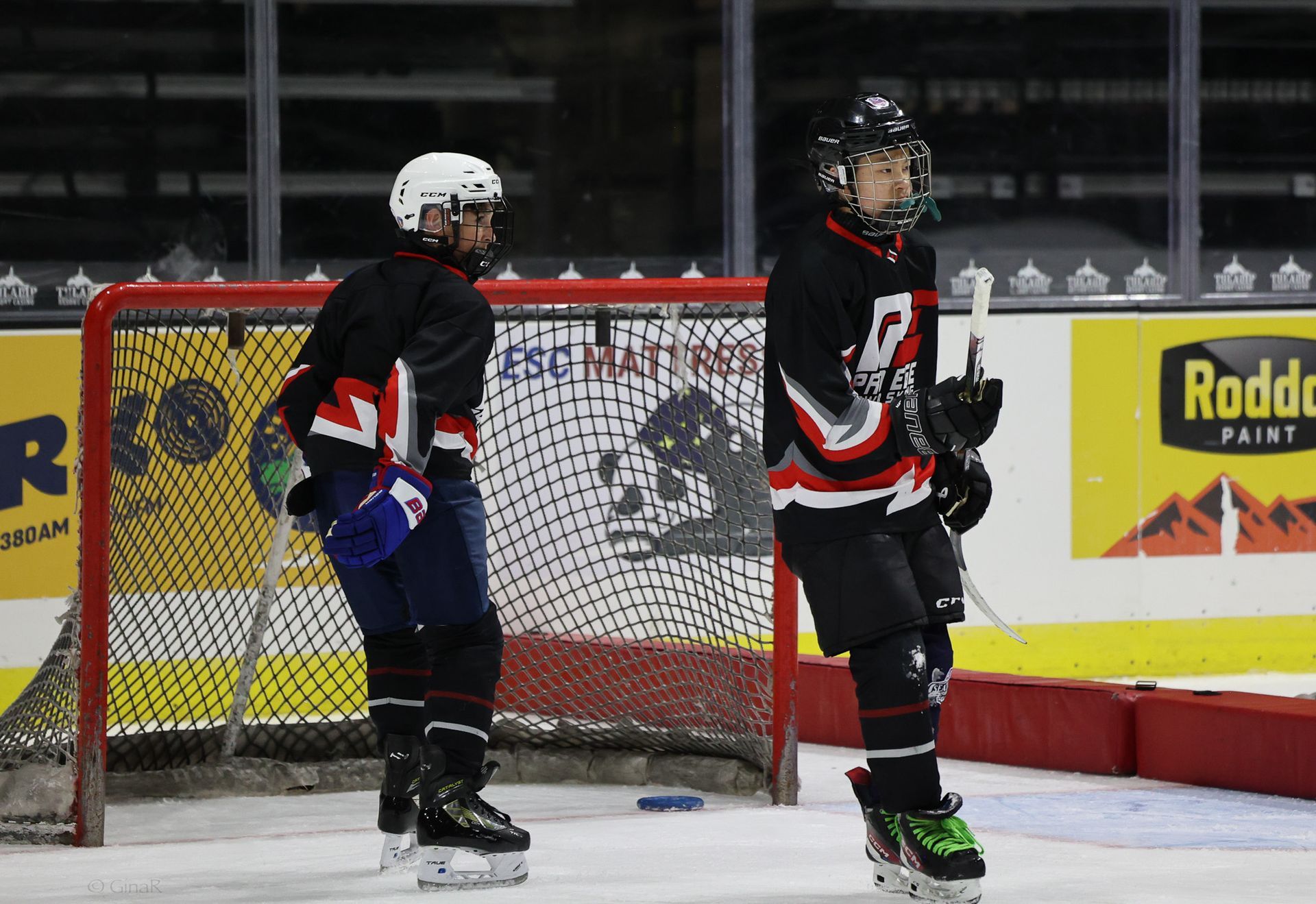 Two hockey players in black uniforms stand by the goal on an indoor rink.