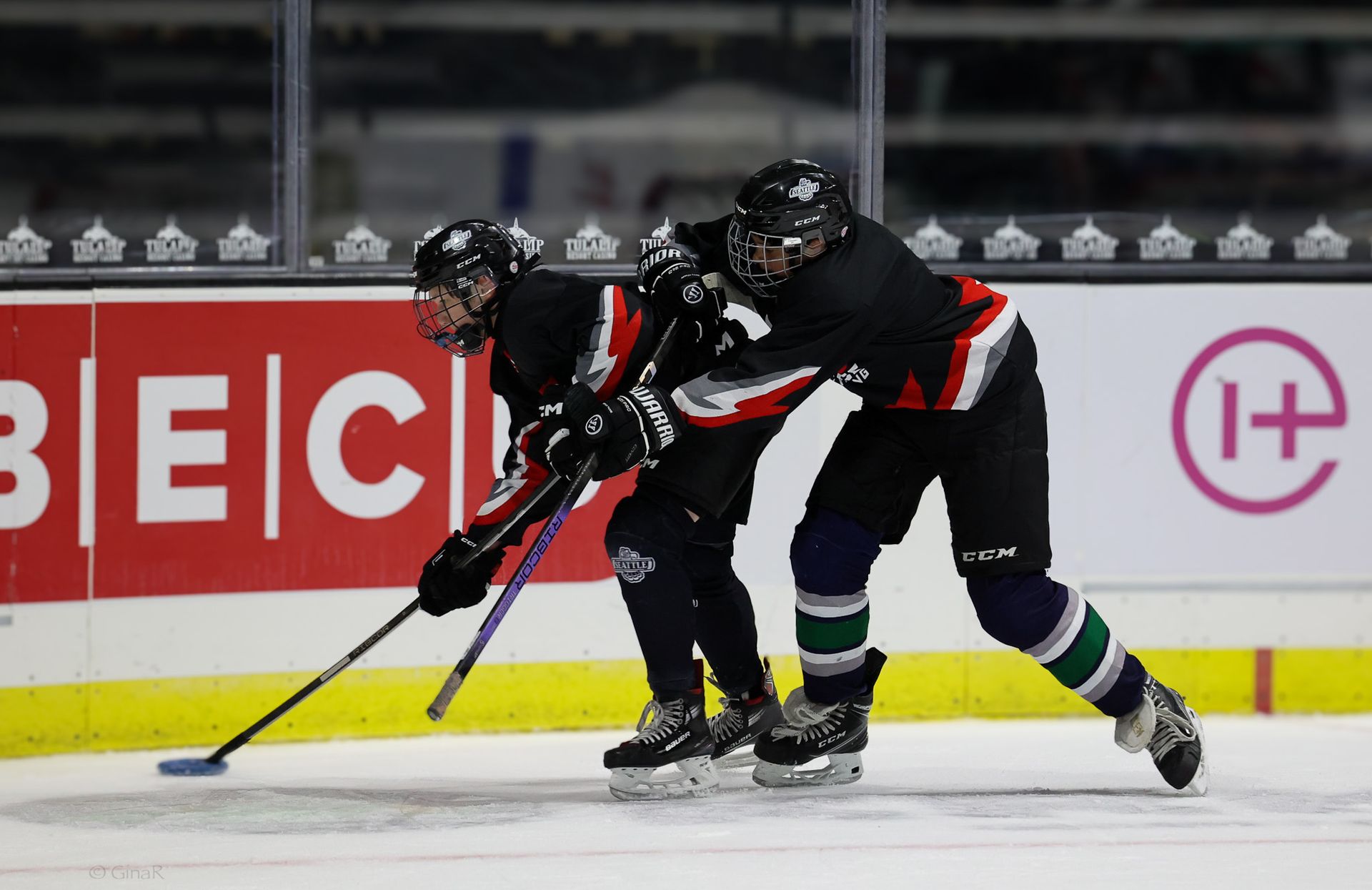 Two hockey players in black uniforms battling for the puck on the ice