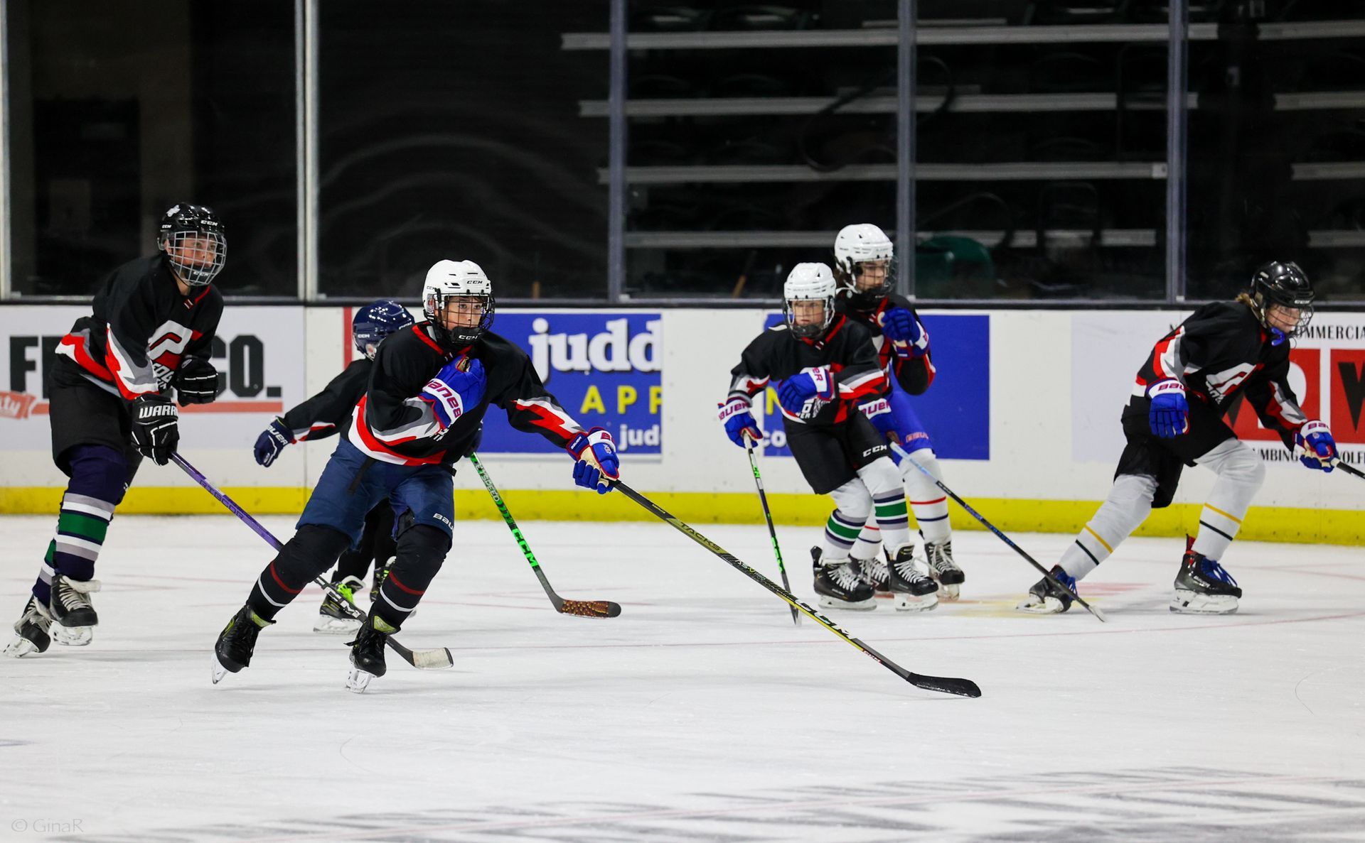 Hockey players in black and blue jerseys race across the ice during a game