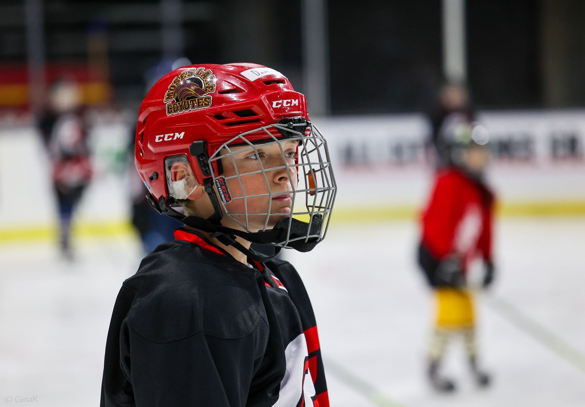 Young hockey player in red helmet and black jersey on an ice rink, looking to the side