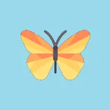 Butterflies, Toddler room at The Village Nursery, Bramcote