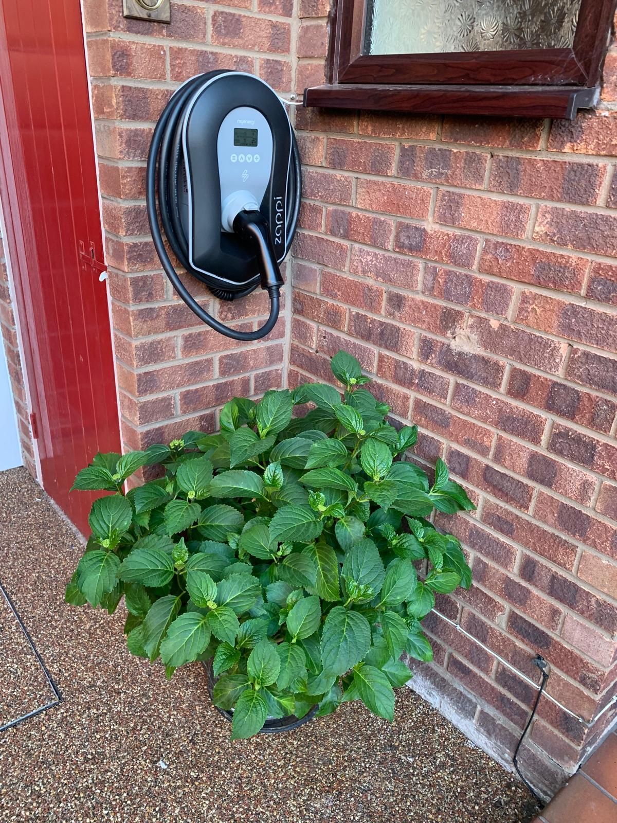 Electric vehicle charger mounted on a brick wall, next to a window. A green potted plant sits below.