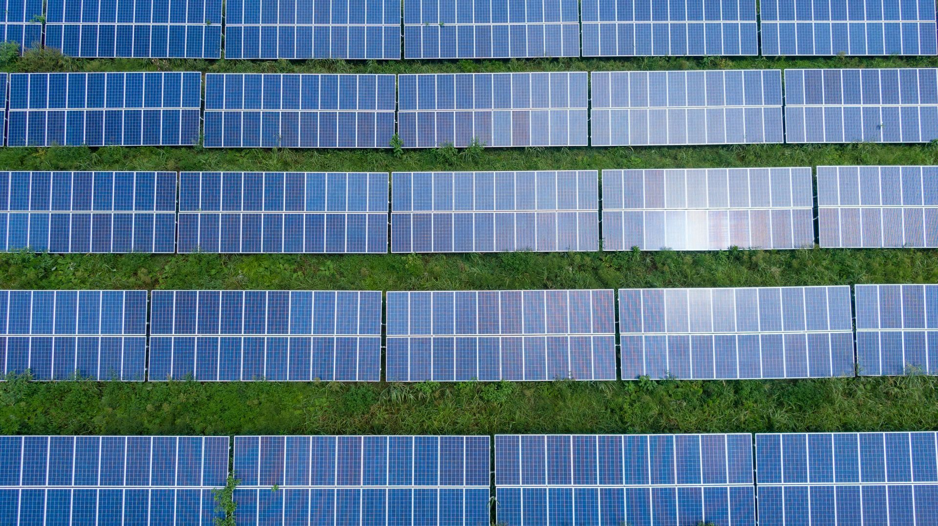 Rows of solar panels on green grass, absorbing sunlight.