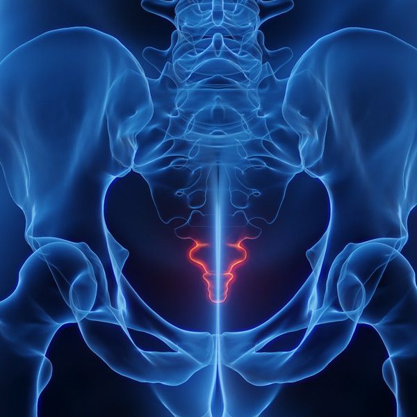 Anatomical view of the human pelvis, highlighted in blue, with the sacrum, colored red, in the center showing pain from Coccydynia