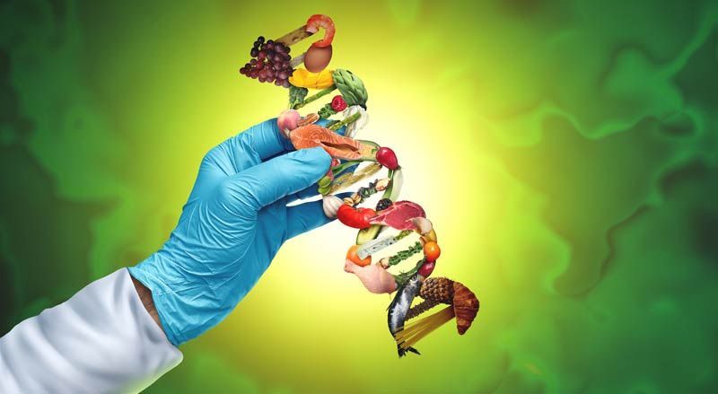 A hand in a blue glove is holding a dna structure made of fruits and vegetables representing Food as Medicine: Reclaiming Our Health Through Holistic Nutrition and Mindful Eating