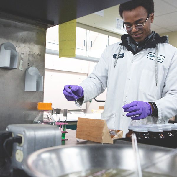 Standard Process Whole Food Supplements