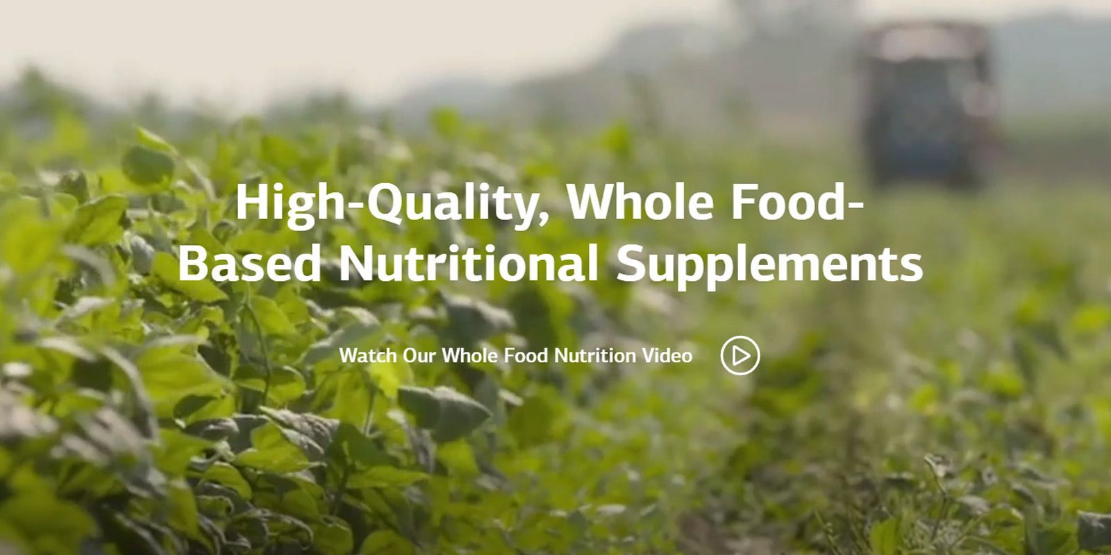 Standard Process Supplements - Dr. Alicia Armitstead. Organic Whole Food Supplements at Healing Arts NYC in Manhattan NY 10017