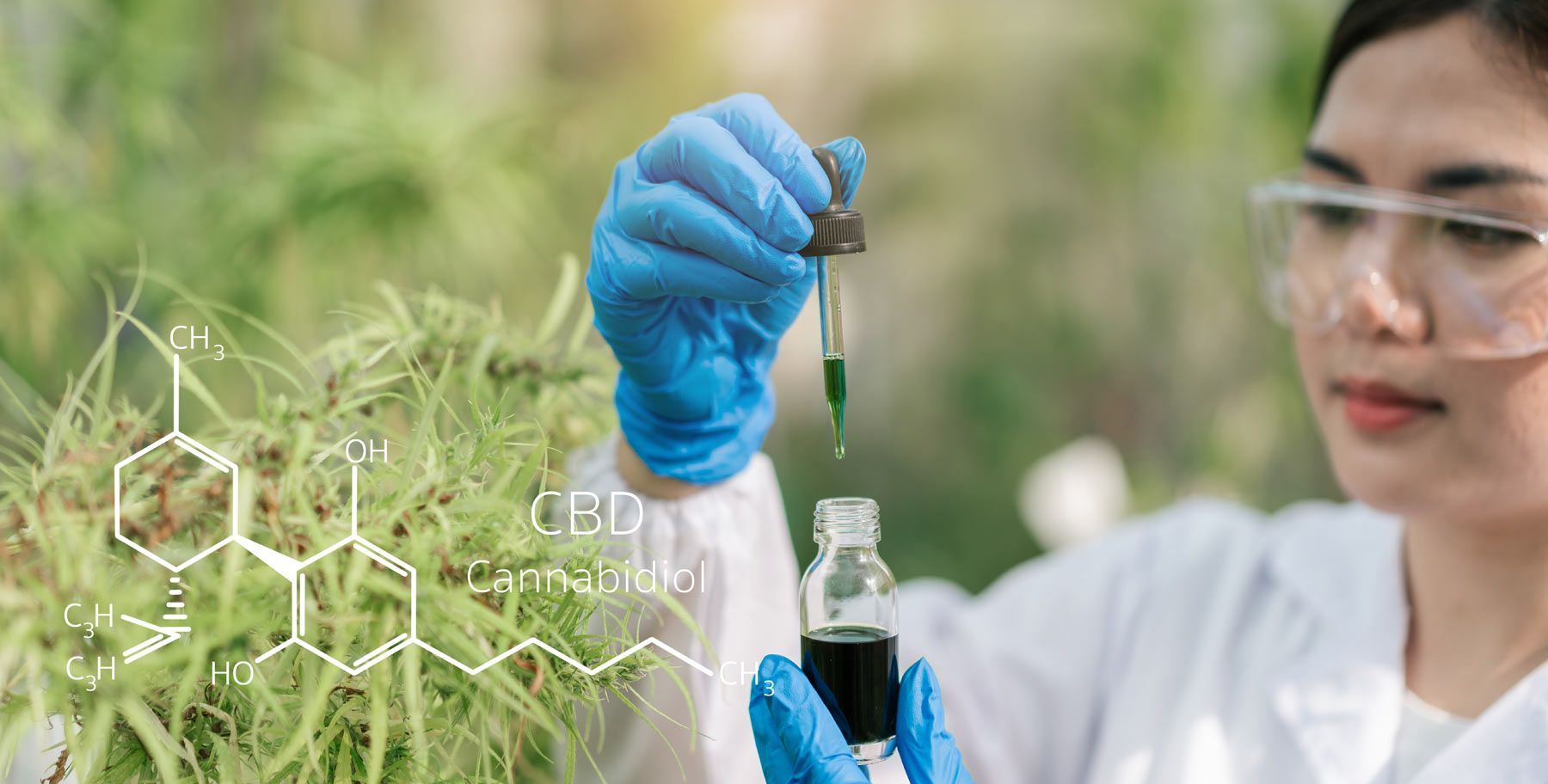 The Science Behind Hemp Oil. The Natural Health Benefits of Hemp Oil