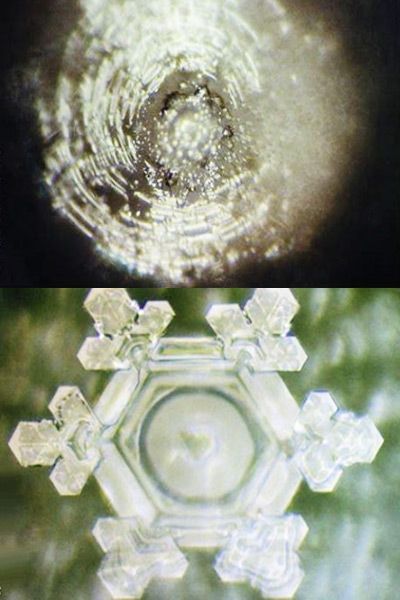 The Science of Water Structuring