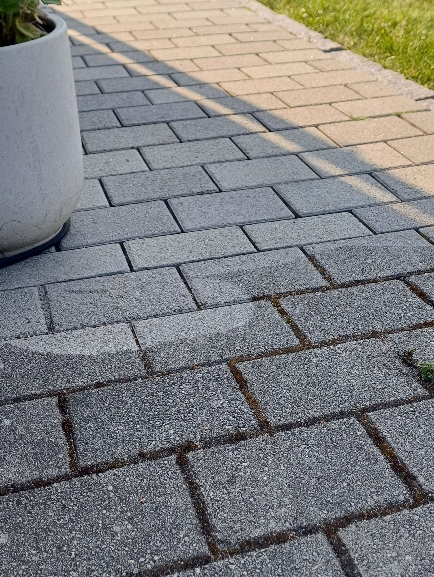En grå betongblomsterkasse står på en grå steinterrasse, ved siden av en lysere beige steinsti og grønt gress.