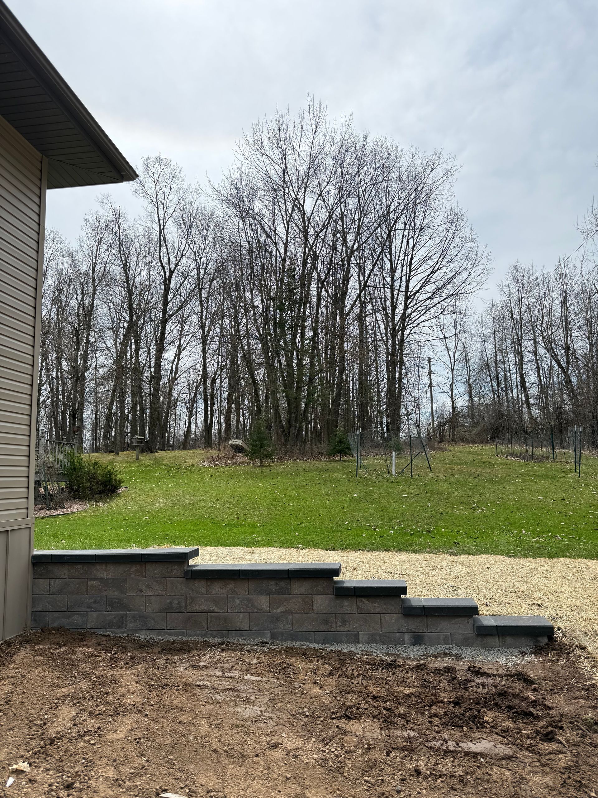 Backyard patio with stone steps, grassy slope, and leafless trees beyond a house