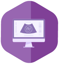 FertilityEHR ultrasound interface