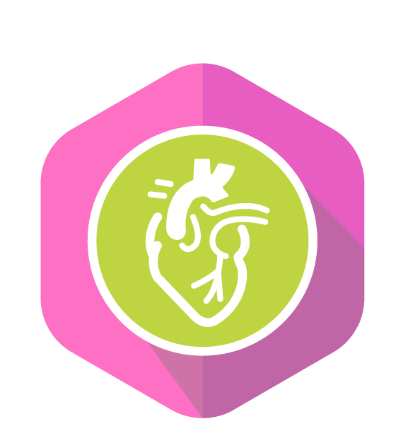 Vascular Surgery Icon