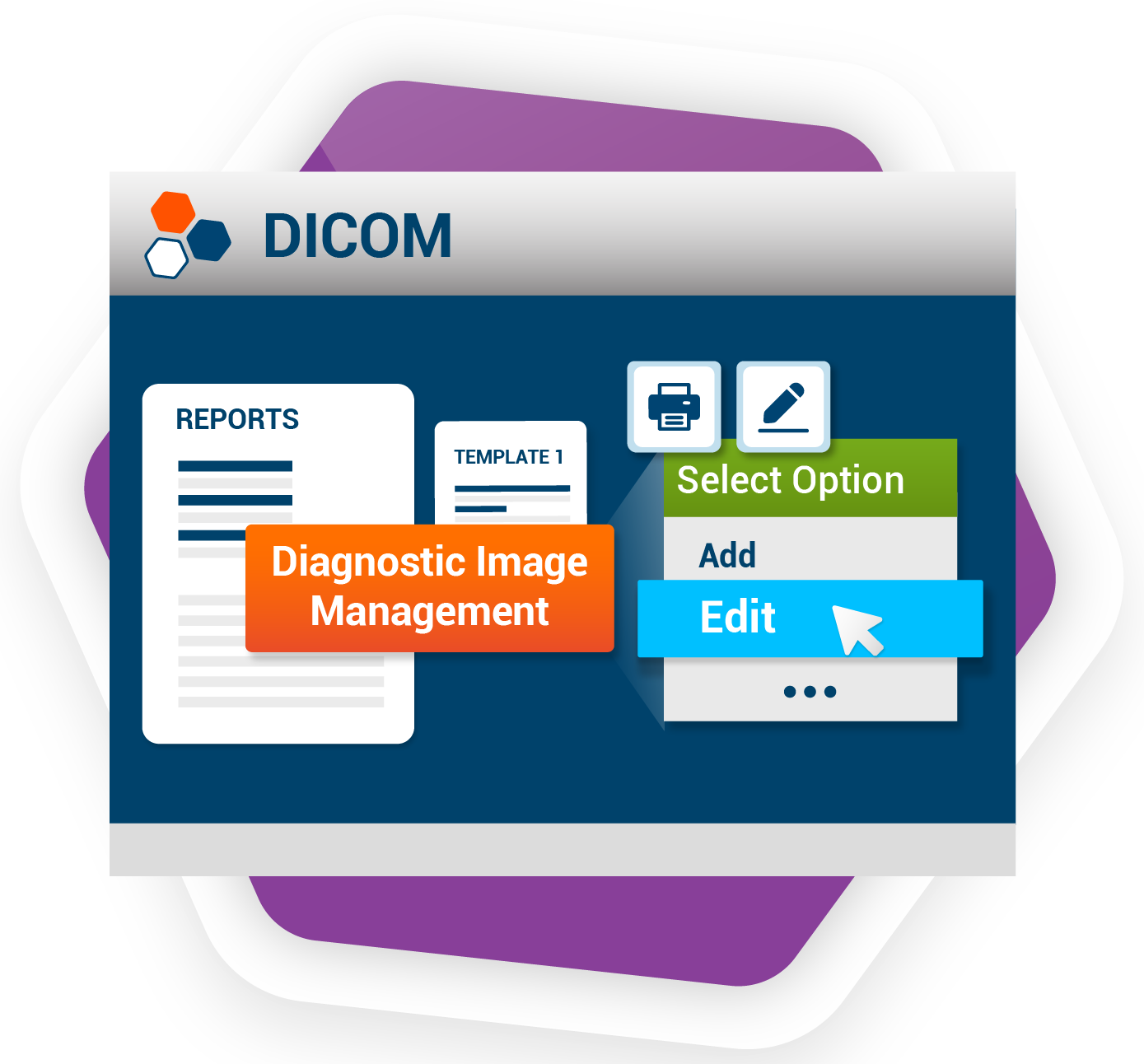 Ultrasound (DICOM) Report Changes