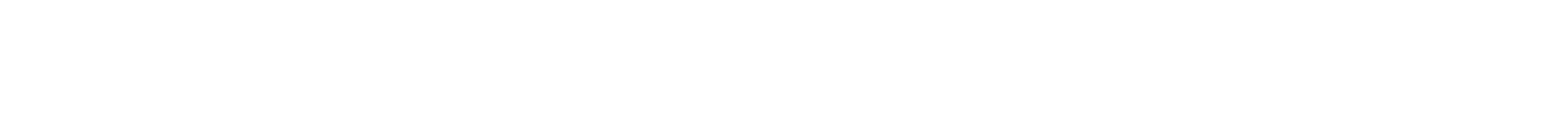 A blank white horizontal rectangle with a thin gray border