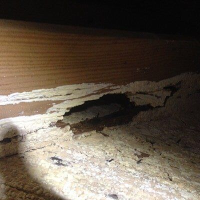 Wood beam with significant termite damage; eaten through with crumbly, light-colored residue.