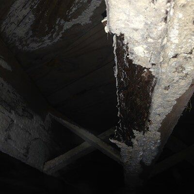 Wooden beams in a dark space, covered in a white, flaky substance; some beams have dark, wet patches.