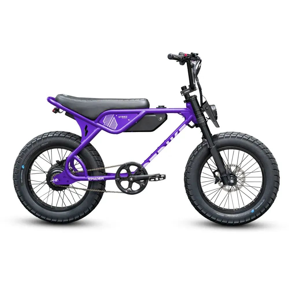Black electric bicycle with thick tires, gray seat, and front headlight.